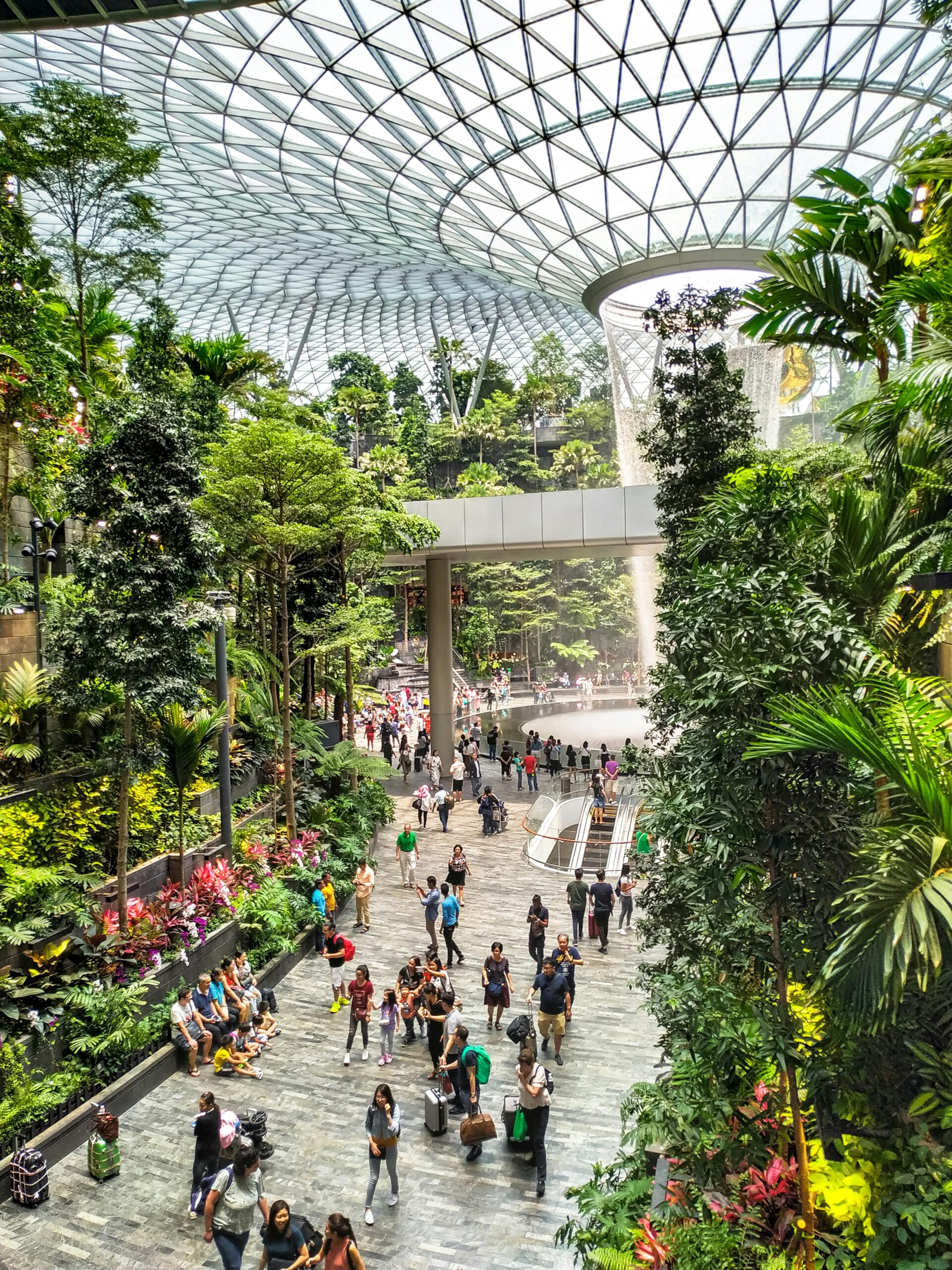 Explore the lush gardens and stunning indoor waterfall at Singapore's Jewel Changi Airport.