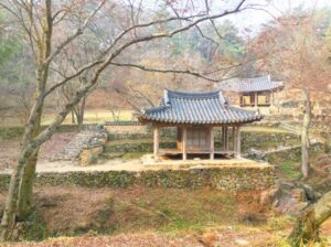 초록이 숨 쉬는 곳,담양에서 느리게 걷다